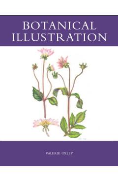 Botanical Illustration
