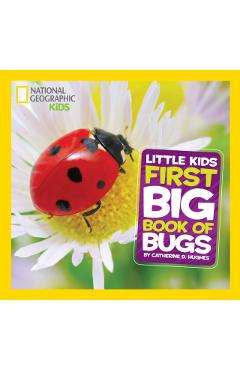 First Big Book of Bugs