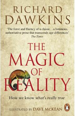 Magic of Reality