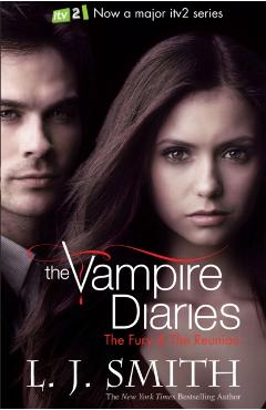 The Fury and Dark Reunion - L.J. Smith