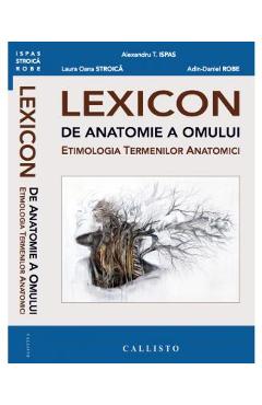 Lexicon de anatomie a omului - Alexandru T. Ispas, Laura Oana Stroica