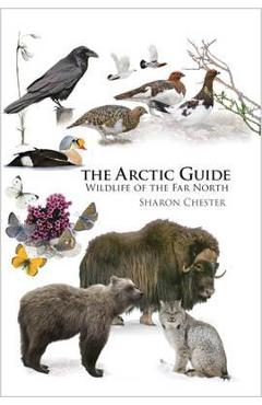Arctic Guide