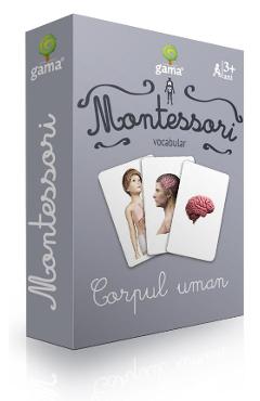 Montessori. Vocabular: Corpul uman