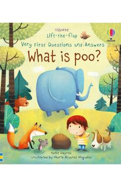 What is Poo?