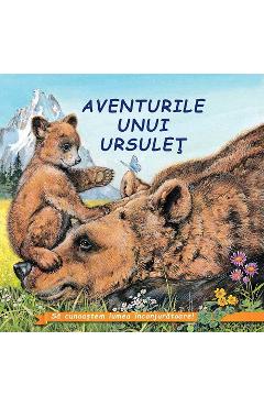 Aventurile unui ursulet - Sa cunoastem lumea inconjuratoare!