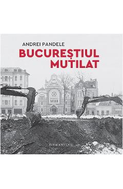 Bucurestiul mutilat – Andrei Pandele Andrei
