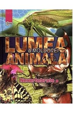 Lumea animala a Moldovei. Vol. 1: Nevertebrate libris.ro imagine 2022 cartile.ro