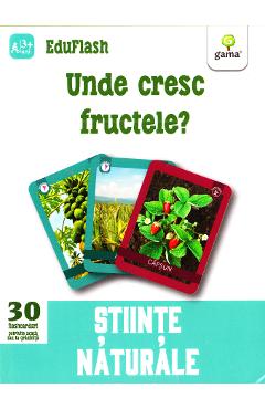 Unde cresc fructele? 3 ani+ (Eduflash) - GAMA