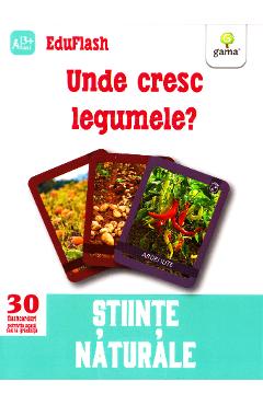 Unde cresc legumele? 3 ani+ (Eduflash)