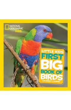 Little Kids Big Book of Birds