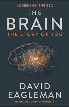 Brain