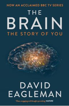 Brain