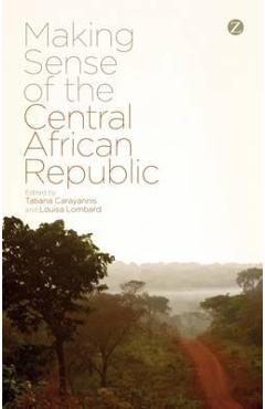 Making Sense of the Central African Republic