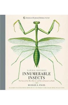Innumerable Insects