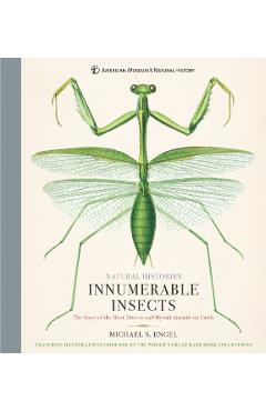 Innumerable Insects