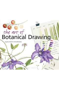 Art of Botanical Drawing