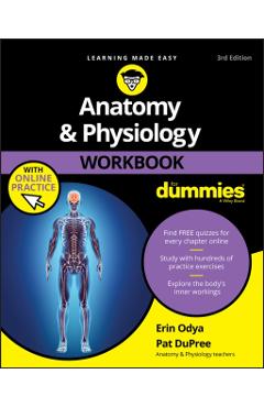 Anatomy & Physiology Workbook For Dummies with Online Practi