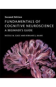 Fundamentals of Cognitive Neuroscience