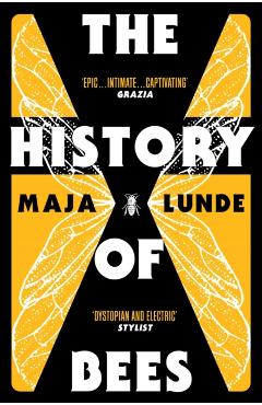 History of Bees