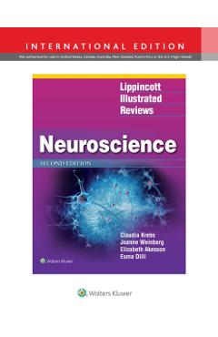 Lippincott Illustrated Reviews: Neuroscience
