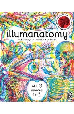 Illumanatomy