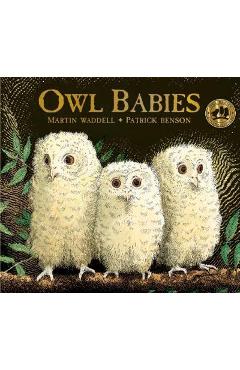 Owl Babies