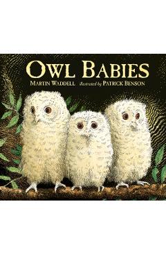 Owl Babies