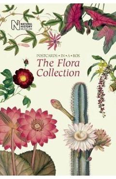 Flora Collection