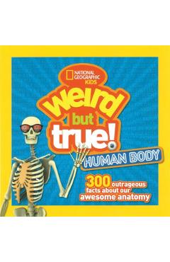 Human Body