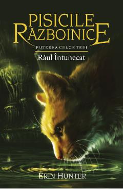 Pisicile Razboinice Vol.14: Raul intunecat - Erin Hunter