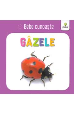 Gazele - Bebe cunoaste