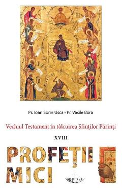 Vechiul Testament in talcuirea Sfintilor Parinti: Profetii mici - Ioan Sorin Usca, Vasile Bora