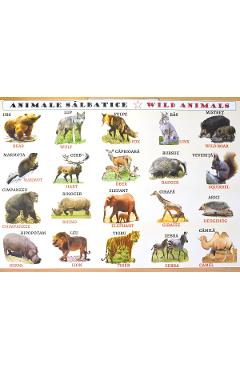 Plansa: Animale domestice – Animale salbatice Animale