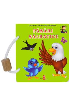 Pasari salbatice - Silvia Ursache-Brega