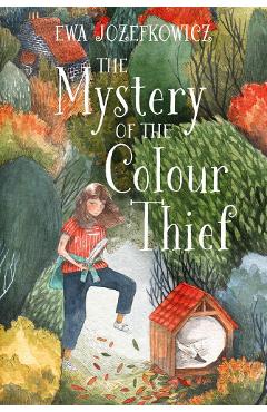 Mystery of the Colour Thief