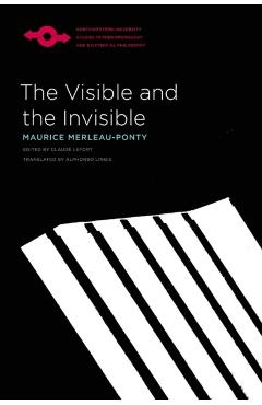 Visible and the Invisible