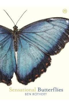 Sensational Butterflies