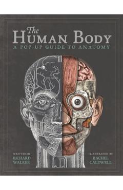 The Human Body