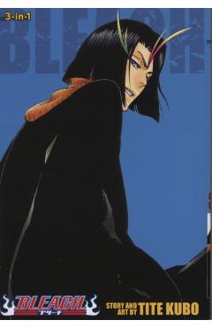 Bleach (3-in-1 Edition), Vol. 13