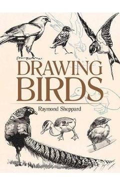 Drawing Birds - Imagine 1