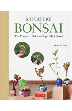 Miniature Bonsai
