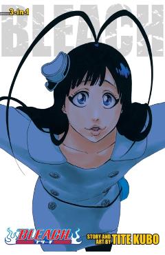 Bleach (3-in-1 Edition), Vol. 22