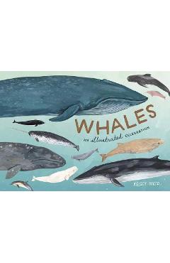 Whales