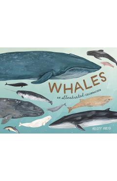 Whales