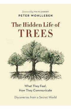 Hidden Life of Trees