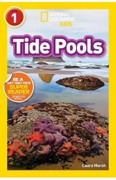 Tide Pools (L1)