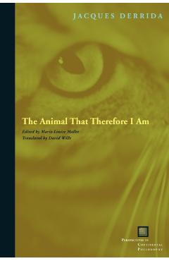 Animal That Therefore I Am - Imagine 1