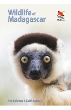 Wildlife of Madagascar