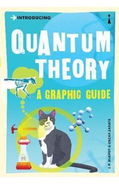 Introducing: Quantum Theory. A Graphic Guide