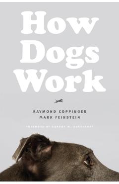 How Dogs Work